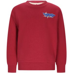 Moodstreet-Jongens SIMON street racing sweater-Tokyo Sun