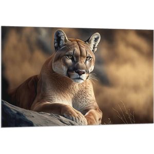 Vlag - Cartoon van Puma Liggend op Grijze Rots in Natuurgebied - 105x70 cm Foto op Polyester Vlag