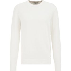 WE Fashion Heren Regular fit trui met structuur