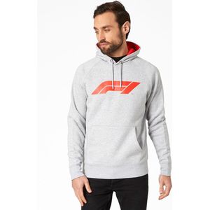 F1 Large Logo Hoody grijs M - Formule 1 Hoodie -