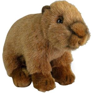Nature Planet Knuffeldier Capybara - zachte pluche stof - premium knuffels - bruin - 20 cm