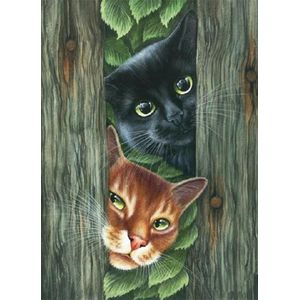 Mona Lisa diamond painting compleet pakket 40x30cm: katten spelen kiekeboe