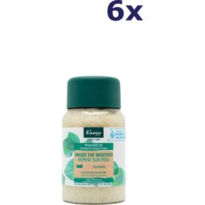 6x Kneipp 500gr badzout under the weather