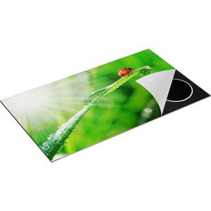 Chefcare Inductie Beschermer Lieveheersbeestje op een Grasspriet - 95x50 cm - Afdekplaat Inductie - Kookplaat Beschermer - Inductie Mat