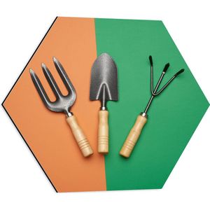 Dibond Hexagon - Tuinier Gereedschap op Oranje met Groene Vlakken - 50x43.5 cm Foto op Hexagon (Met Ophangsysteem)