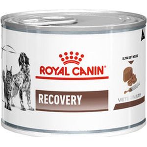 Royal Canin Recovery blik Hond/Kat 12 x 195 gr