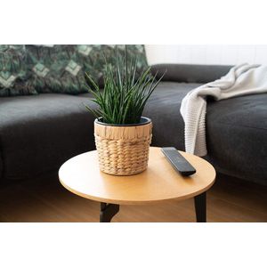 Set van 3 bloempotten, rond, gevlochten, van zeegras, met kunststof inzetstuk voor het planten - plantenpot - 16 cm + 20 cm + 26 cm