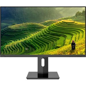 Monitor - 23,8'' - 4K UHD - IPS-paneel - E-LED-achtergrondverlichting