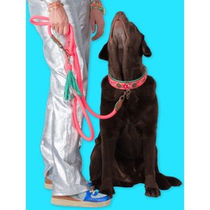 DWAM Dog with a Mission Hondenriem – Riem voor honden – Roze – Polyester/Leer – L – 220 x 1.4 cm – Extra Lange Sugarbabe