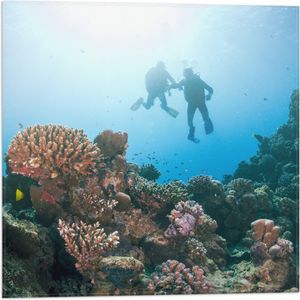 Vlag - Oceaan - Zee - Duikers - Koraal - Vissen - 50x50 cm Foto op Polyester Vlag