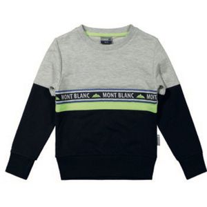 Vinrose sweater maat 122/128