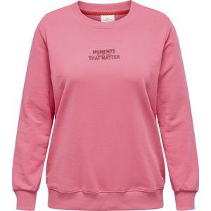 ONLY CARMAKOMA - CARPOPPY LS O-NECK SWEAT JRS - Meisjes - Sweaters