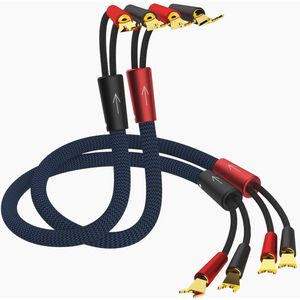 Hoge Kwaliteit Luidsprekerkabel 2,5 m 13 AWG met Vergulde Verbinding voor Thuisbioscoop en Hifi-systeem