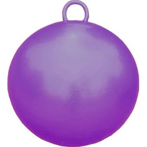 Stevige paarse skippybal van 70cm - Ideaal voor kinderen vanaf 5 jaar