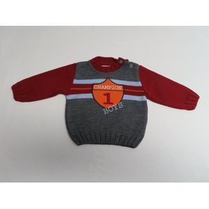 Trui - Jongens - Gebreid - Champion - Grijst /rood - 6 maand 68