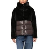 BLAUER FANEVIL Bruin L EU