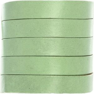 DQ Leer Plat (10 x 1.5 mm) Pastel Mint Green (1 Meter)