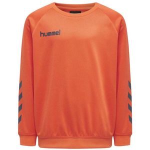 Hummel - hmlPROMO - Sweater - Polyester - Lange Raglanmouwen