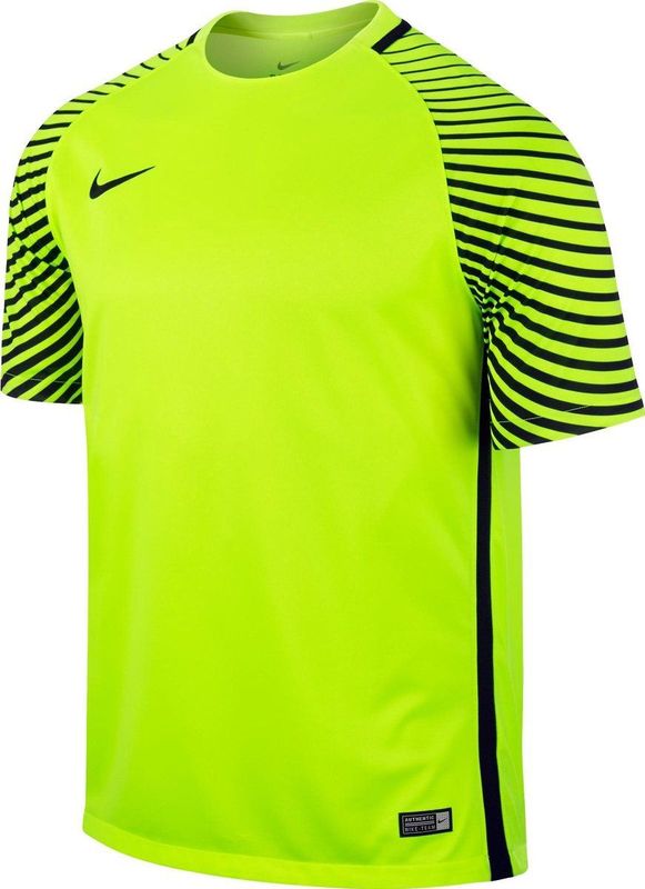 Nike Doelmantrui Gardien GK 725889-702