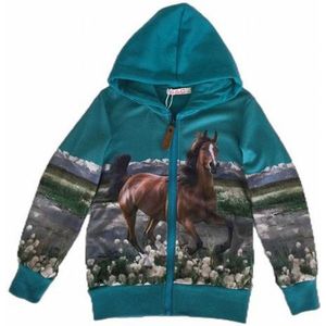 Kinder vest paarden zeegroen maat 98/104