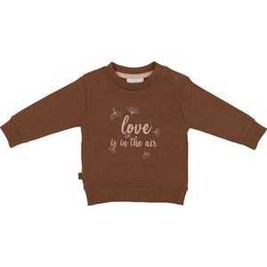 Frogs and Dogs - Winter Flower Sweater Love Hearts is in the Air - Roze - Maat 80 -