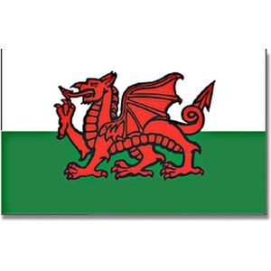 Vlag Wales  90 x 150 cm feestartikelen - Wales /Y Ddraig Goch rode draak landen thema supporter/fan decoratie artikelen