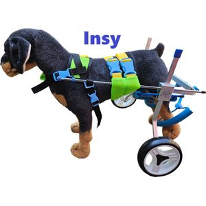 Hond brace, honden rolstoel, hond beugels, hond spalk, hond splint, hond steun, hondenbrace, honden beugel, hond, brace, rolstoel, dog wheelchair, dog brace, hond brace maat XS