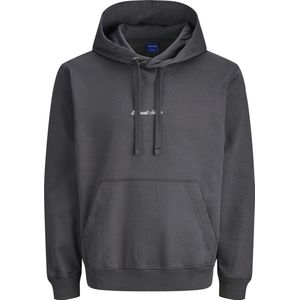 JACK&JONES - JORNORREBRO EMB SWEAT HOOD PLS - Heren - Sweaters