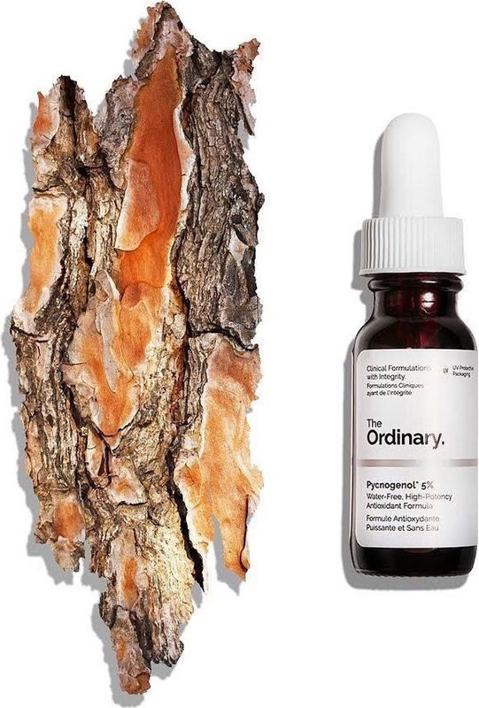 The Ordinary 100% Pycnogenol 5% 15ml