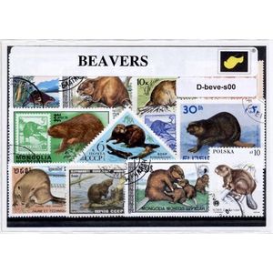 Bevers – Luxe postzegel pakket (A6 formaat) : collectie van verschillende postzegels van bevers – kan als ansichtkaart in een A6  envelop - authentiek cadeau - kado -kaart - dieren - knaagdier - capibara - amerika - europa - beverachtigen - dam