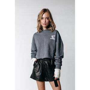 Colourful Rebel Seven Raw Edge Cropped Hoodie - L