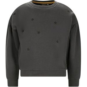 Like Flo - Danee Flo girls sweater with artwork antra - Antra - Maat 104