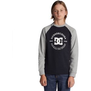 Dc Shoes Strpltrglncwb Sweatshirt Grijs 16 Years Jongens