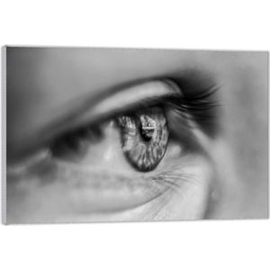 Acrylglas  –Pupil Zwart - Wit-120x80 (Met ophangsysteem)