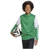 adidas - Hoodie - Junioren - Zwart - 100% Gerecycled Polyester