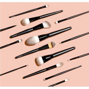 CAIRSKIN Professional Brush Set - 15 Pro Gloss Full Set Professional Brushes - Powder Brush - Eyeshadow - Brow Brush - Kwastenset Vegan - Premium Soft Synthetic Fibers - Make-up Set