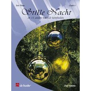 Nederlands boek 3 Stille nacht