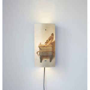 Packlamp - Wandlamp - Het puttertje - Fabritius - 29 cm hoog - ø12cm - Inclusief Led lamp