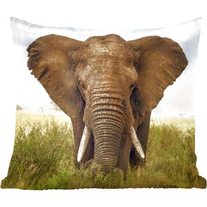 Sierkussens - Kussentjes Woonkamer - 40x40 cm - Afrikaanse olifant vooraanzicht