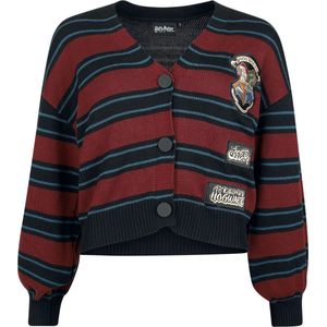 Harry Potter DA Grunge Collection - S.P.E.W. Cardigan Cardigan bordeaux-navy blauw S