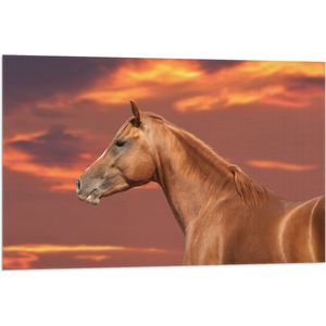 Vlag - Zijaanzicht van Glanzend Bruin Paard onder Oranje Gloed in de Lucht - 90x60 cm Foto op Polyester Vlag
