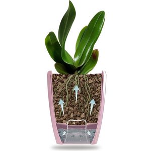 Orchideeënpotten set van 6 - Zelfbewaterende pot met waterlontsysteem en waterpeilindicator - Diameter 15 cm - Wit - 2 liter