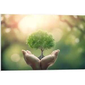PVC Schuimplaat- Boom Groeiend uit Handpalm - 75x50 cm Foto op PVC Schuimplaat