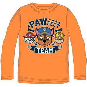 Paw Patrol longsleeve shirt a Pawfect team oranje maat 128