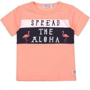 Dirkje V-PARADISE Jongens T-shirt - Maat 62