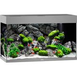 Juwel Rio 125 LED Aquarium - Grijs - 125L - 80 x 35 x 50 cm
