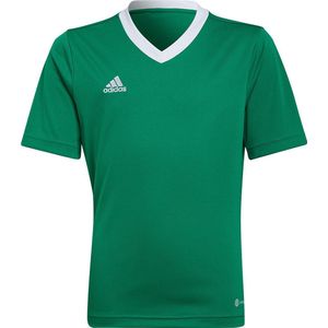 adidas - Entrada 22 Jersey Youth - Groene Voetbalshirt -140
