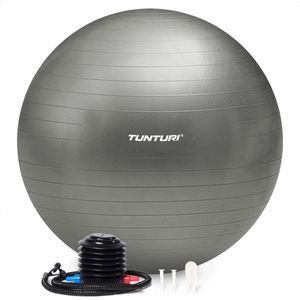 Tunturi Anti Burst Fitness bal met Pomp - Yoga bal 55 cm - Pilates bal - Zwangerschapsbal – 220 kg gebruikersgewicht - Incl Trainingsapp – Zilver