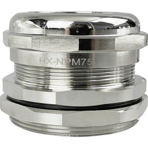 TRU COMPONENTS TC-10302864 Wartel M75 Messing (vernikkeld) Metaal 1 stuk(s)