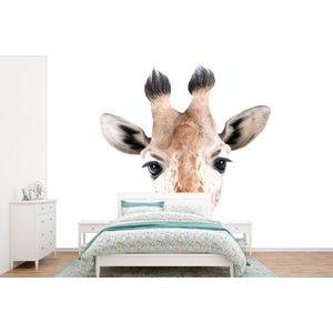 Giraffe - Dieren - Natuur - Portret - Behangpapier